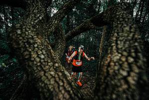 BIB: 
                            <button type="button" onclick="openModal(25685428)" class="btn btn-primary btn-sm float-right btn-popup" data-toggle="modal" data-target=".modal-high-quality">
                        <i class="fas fa-shopping-cart"></i> Add to Cart
                    </button>
                                            <button type="button" onclick="isThisMe(25685428, true)" class="btn btn-success btn-sm float-right btn-popup btn-isme hidden" data-toggle="tooltip" data-placement="bottom" title="นี่คือรูปของคุณใช่ไหม คลิกที่นี่เพื่อเอาเข้าอัลบั้ม">
                        <i class="fas fa-plus"></i> Add to album
                    </button>
                    <button type="button" onclick="isThisMe(25685428, false)" class="btn btn-warning btn-sm float-right btn-popup btn-isnotme hidden">
                        <i class="fas fa-ban"></i> Remove from album
                    </button>